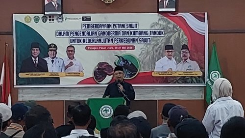 Ketua Umum DPP Apkasindo Dr. Gulat ME Manurung, MP (foto/ist)