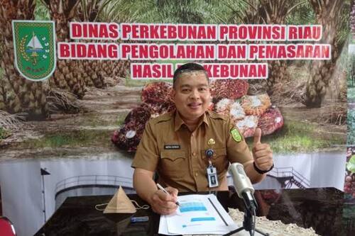Kabid Pengolahan dan Pemasaran Disbun Riau, Defris Hatmaja. (Foto: int)