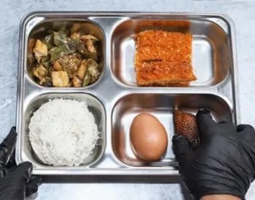 ilustrasi menu MBG.