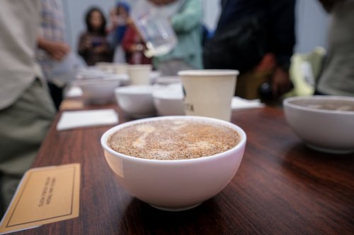 Strategi BI Riau sulap kopi liberika asal Meranti jadi senjata baru ekonomi berkelanjutan.(foto: barkah/halloriau.com)