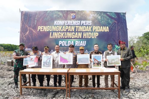 Polda Riau bongkar perambahan hutan di Rohil.(foto: afrizal/halloriau.com)