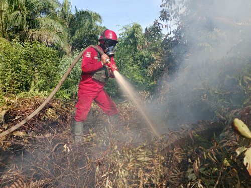 BMKG menemukan empat titik panas di Riau pada Jumat pagi (foto/int)