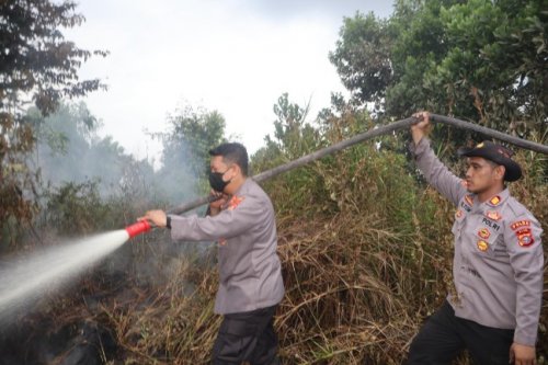 Kapolres Pelalawan lakukan pemadaman karhutla di KM 73 Pangkalan Kerinci.(foto: andi/halloriau.com)